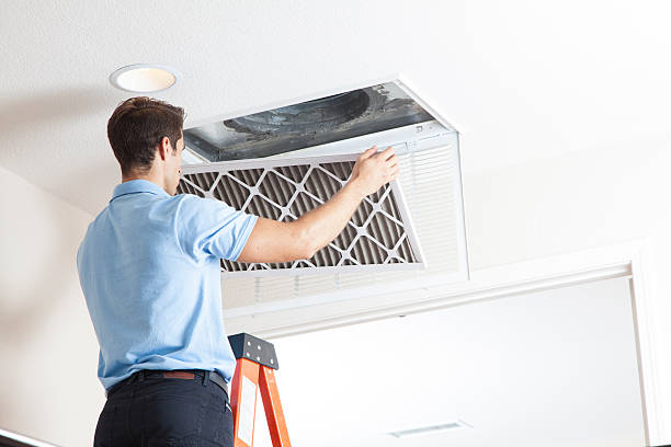 Best HVAC Air Duct Cleaning  in Tamarac, FL